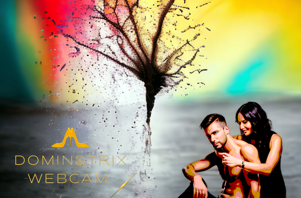 Ownership in the Webcam Industry