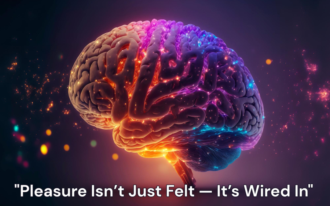 The Science of Pain and Pleasure: How BDSM Affects the Brain